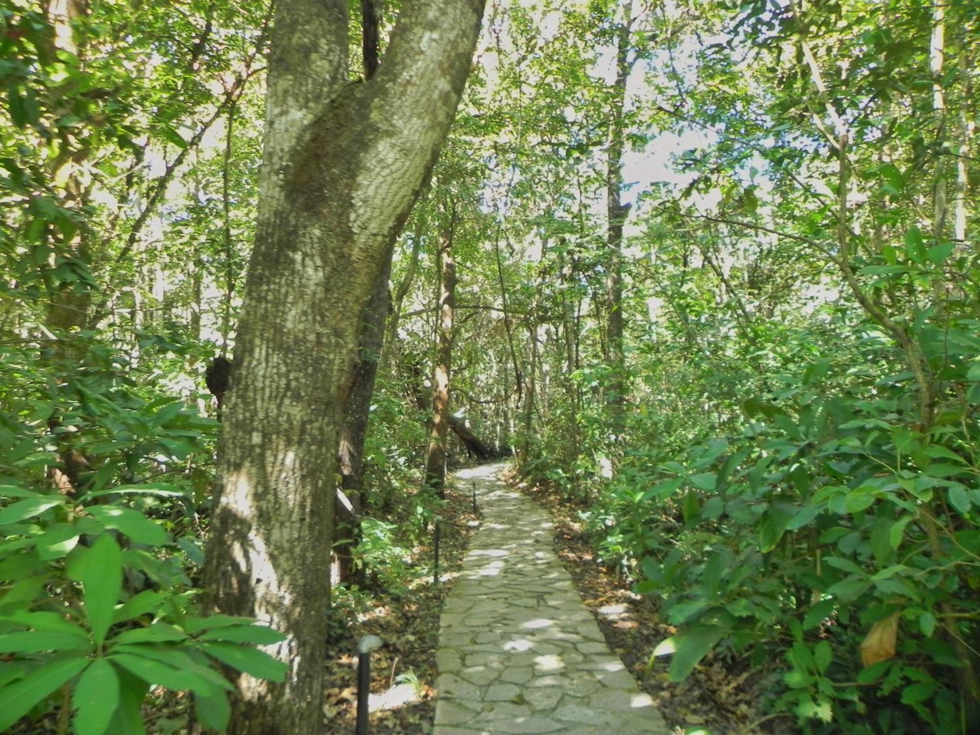 Pousada Eden - Conforto, Imersao E Natureza São Jorge Εξωτερικό φωτογραφία