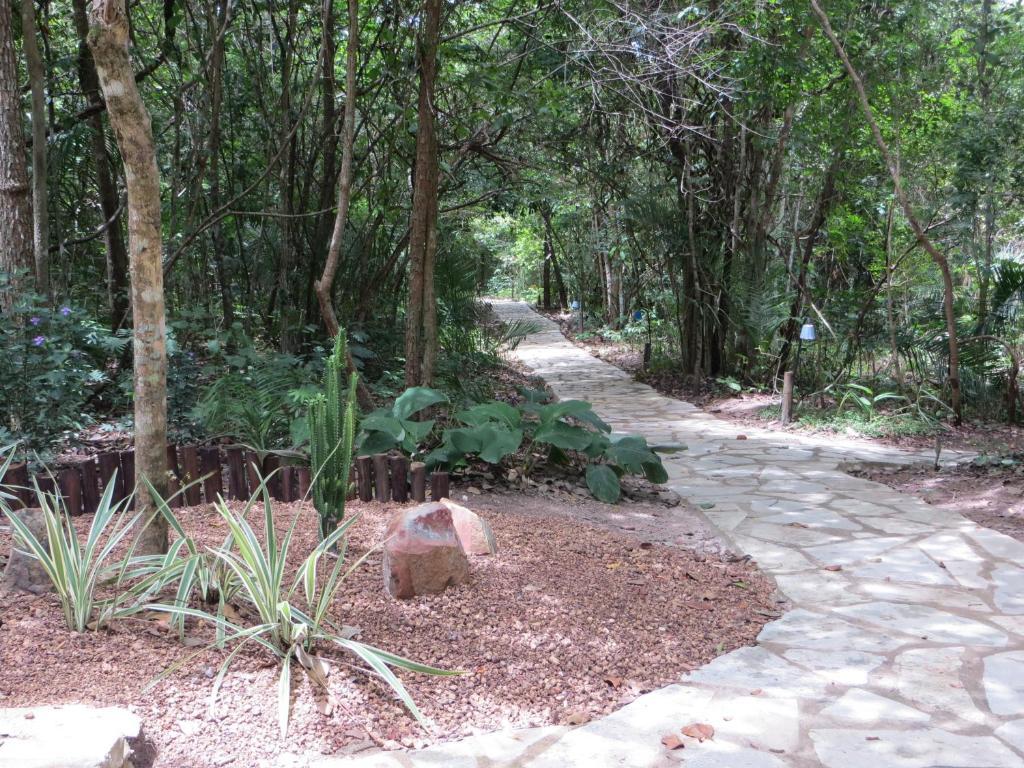 Pousada Eden - Conforto, Imersao E Natureza São Jorge Εξωτερικό φωτογραφία