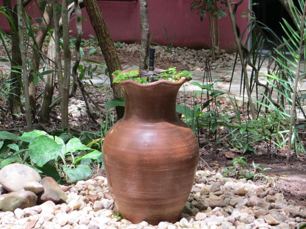 Pousada Eden - Conforto, Imersao E Natureza São Jorge Εξωτερικό φωτογραφία